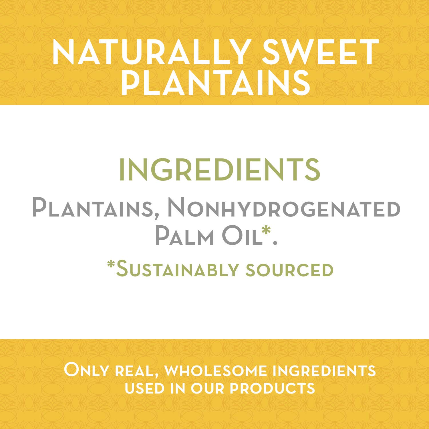 Best Price ARTISAN TROPIC Plantain Strips Sea Salt.