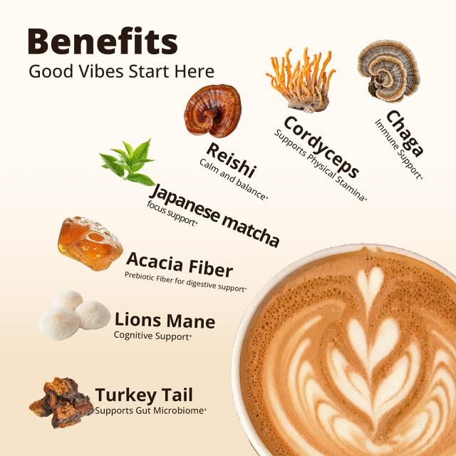 Best ViBrew Healthy Mushroom Instant Coffee