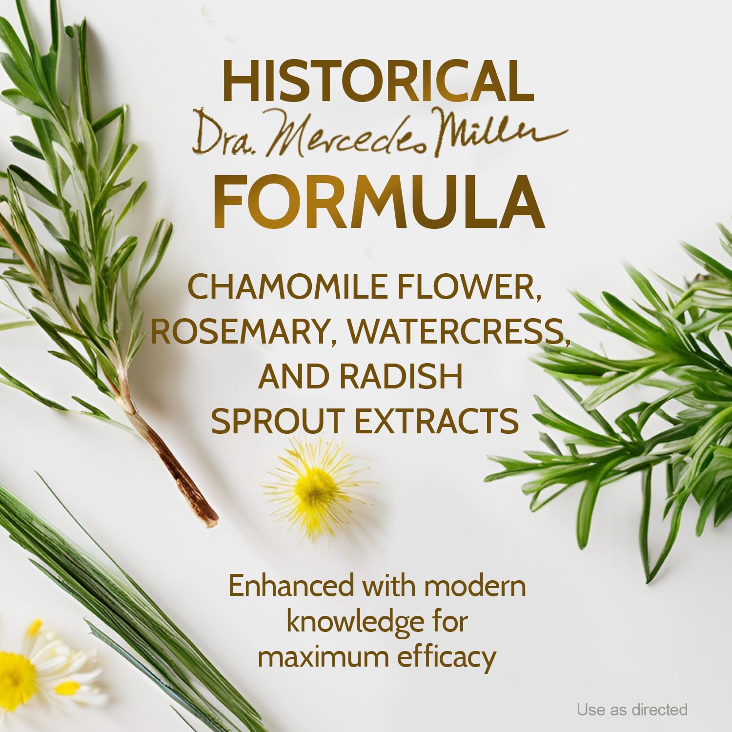 Best Price DRA. MILLER Energy Support Supplement