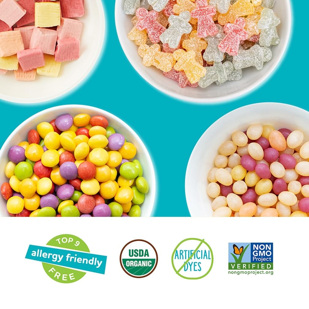 Top Rated YumEarth Organic Variety Box - Jelly Beans, Giggles, Chewys, Sour Littles - Top 9 Allergen Free, No Artificial Dyes, Non-GMO, Gluten Free, Vegan, Individually Wrapped