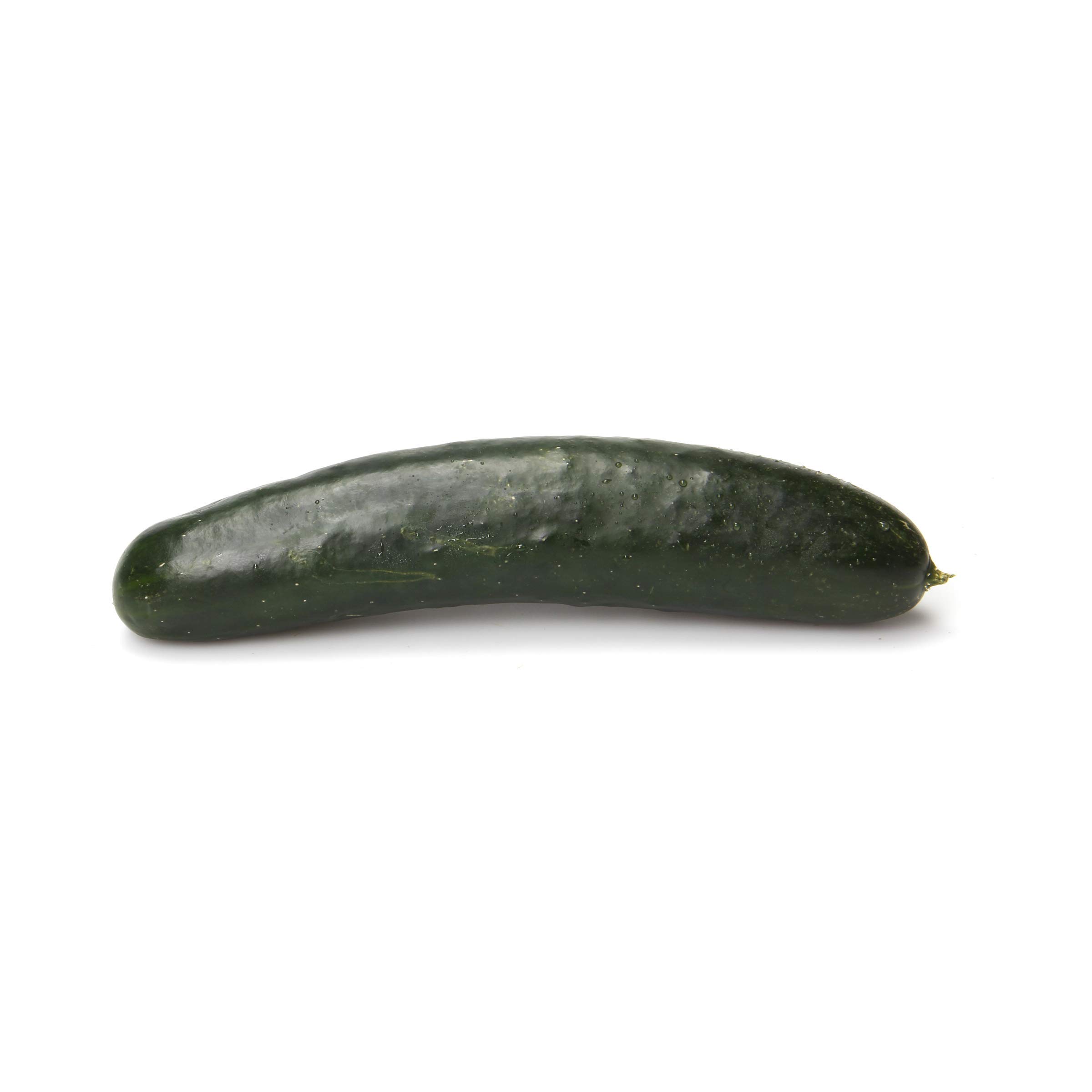 Cheap Cucumis Sativus