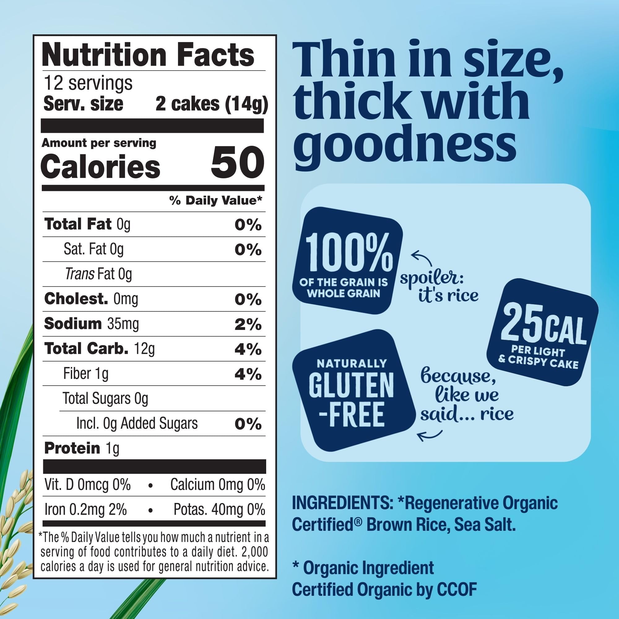 Cheap Lundberg Organic Thin Stackers Brown Rice Lightly Salted Gluten-Free Vegan Rice Cakes Healthy Snack 6 oz.