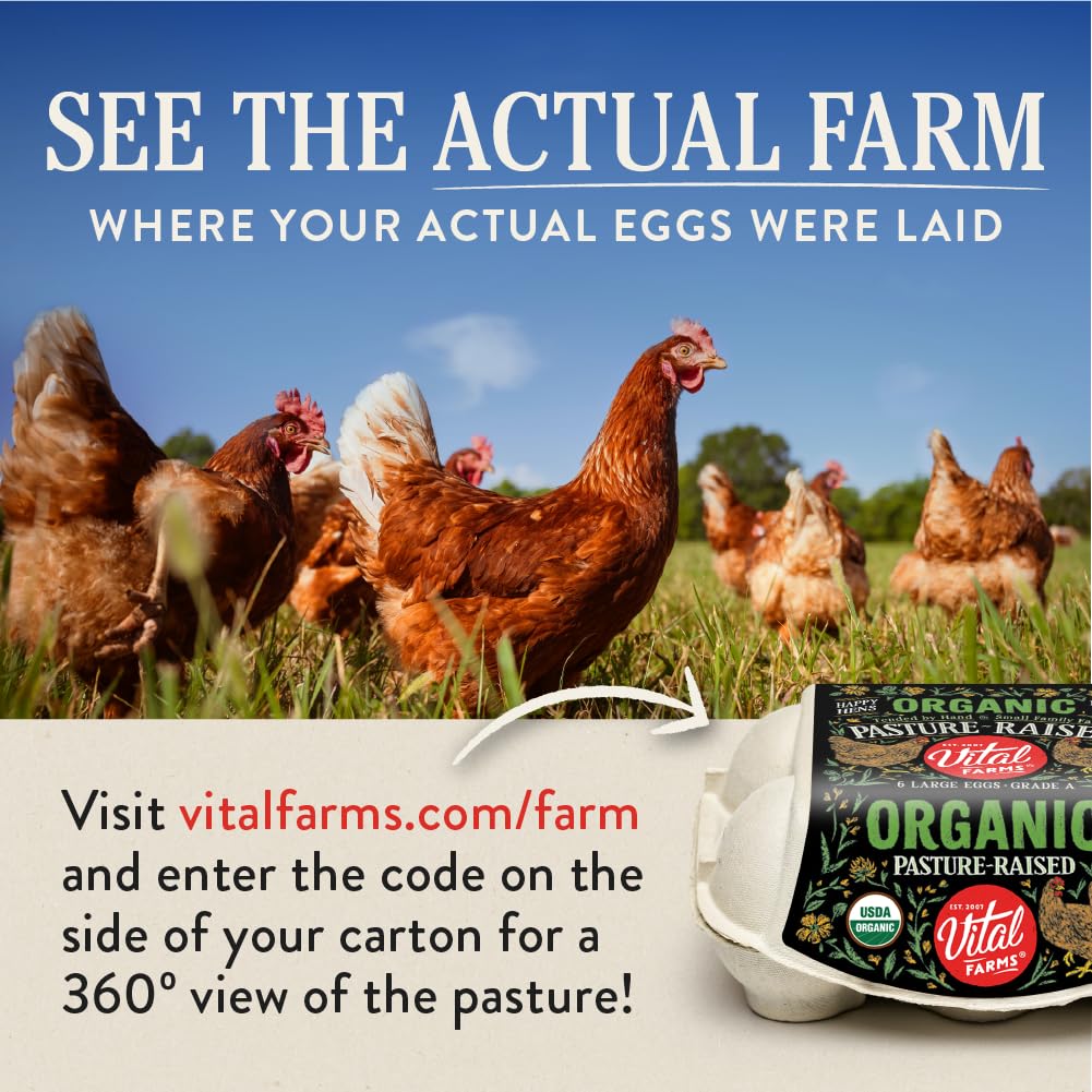 Cheap Vital Farms Organic Pasture-Raised Large Eggs, 12 Count