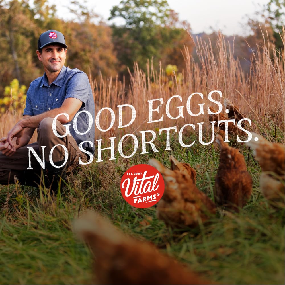 Cheap Vital Farms Organic Pasture-Raised Large Eggs, 12 Count