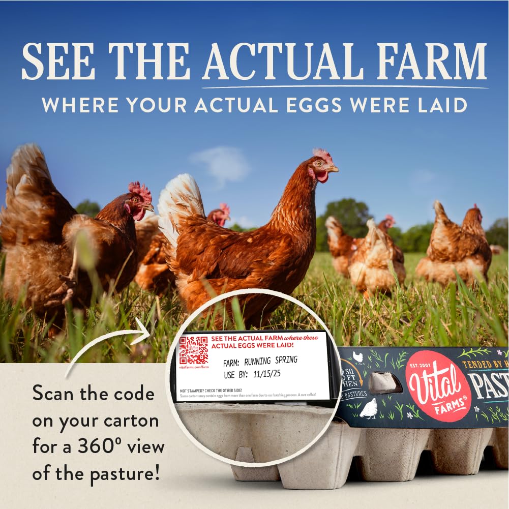 Cheap Vital Farms Pasture-Raised Large Eggs, 18 Count