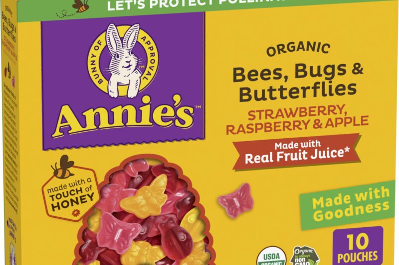 Best Price Annie’s Organic Bees, Bugs & Butterflies Fruit Flavored Snacks