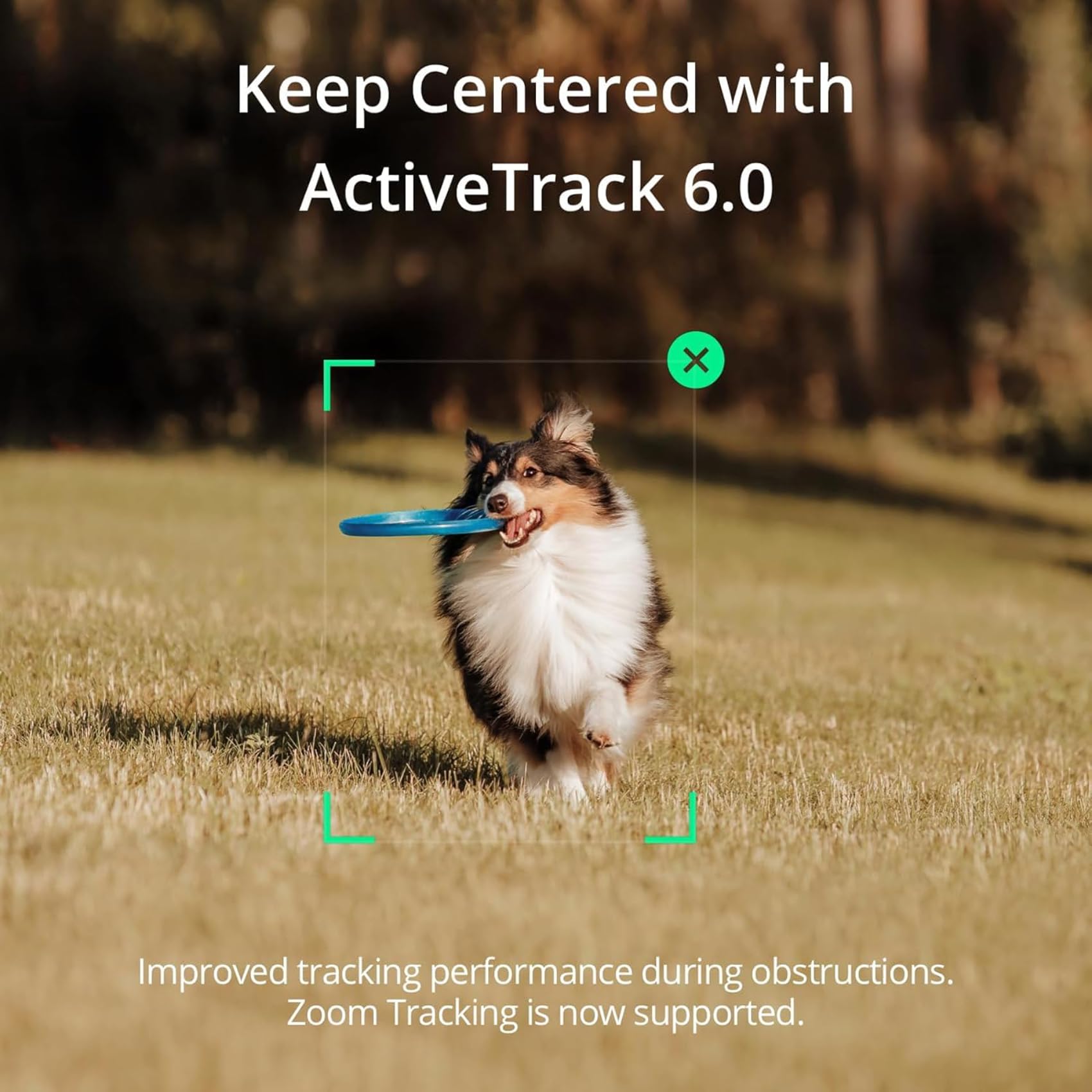 Best Price DJI Osmo Mobile SE.