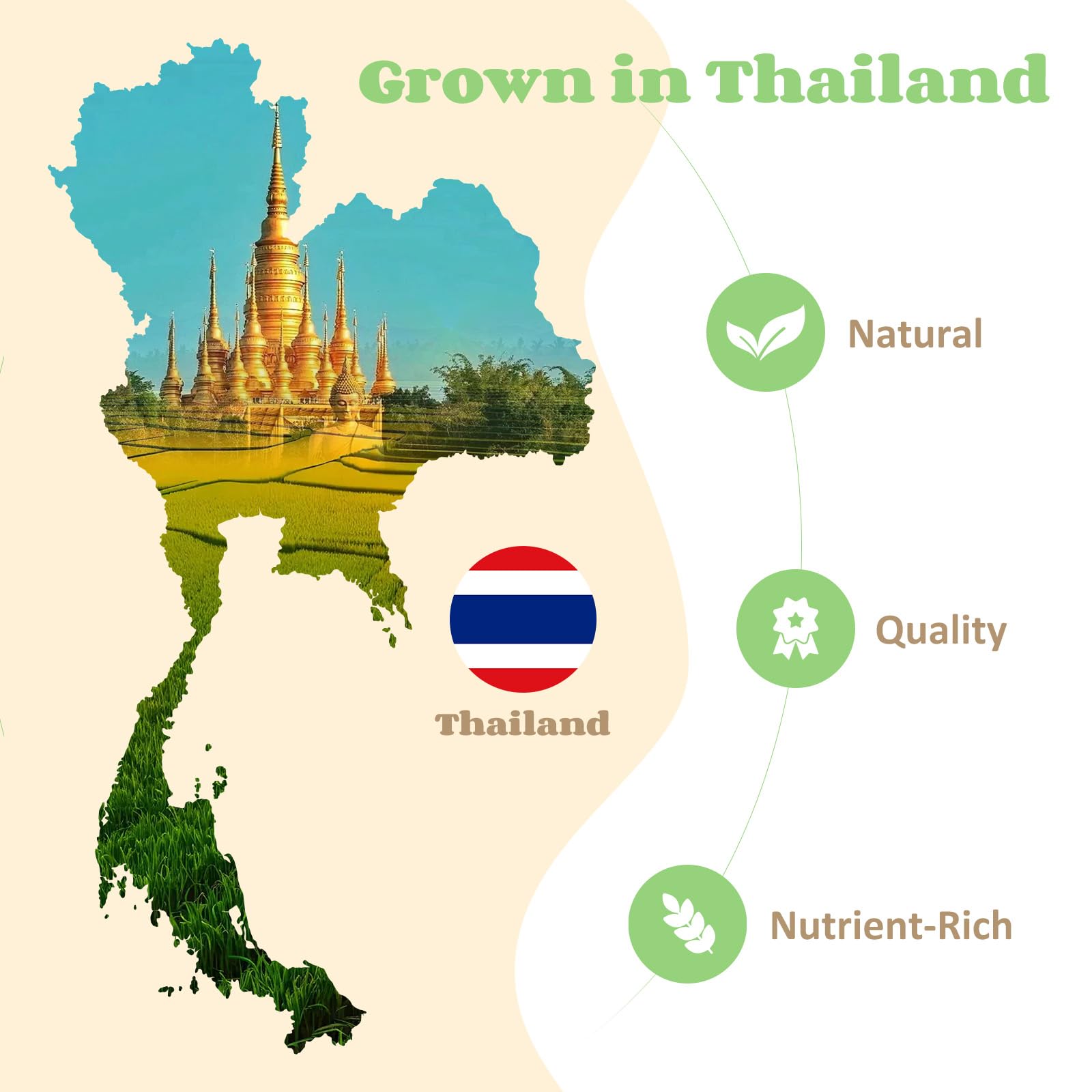 Best Price HealSpot Tofu Noodles