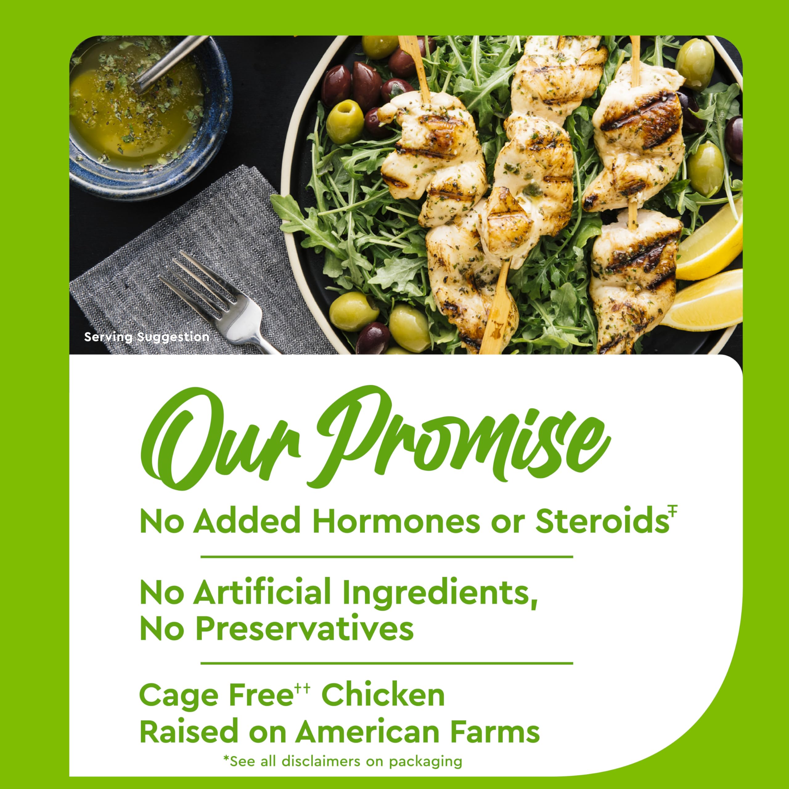 Cheap openai_gpt model='gpt-3.5-turbo' max_tokens='50' temperature='0.6' prompt='Analyze this short description and return the actual product name without explanation and double quotes. Return just a