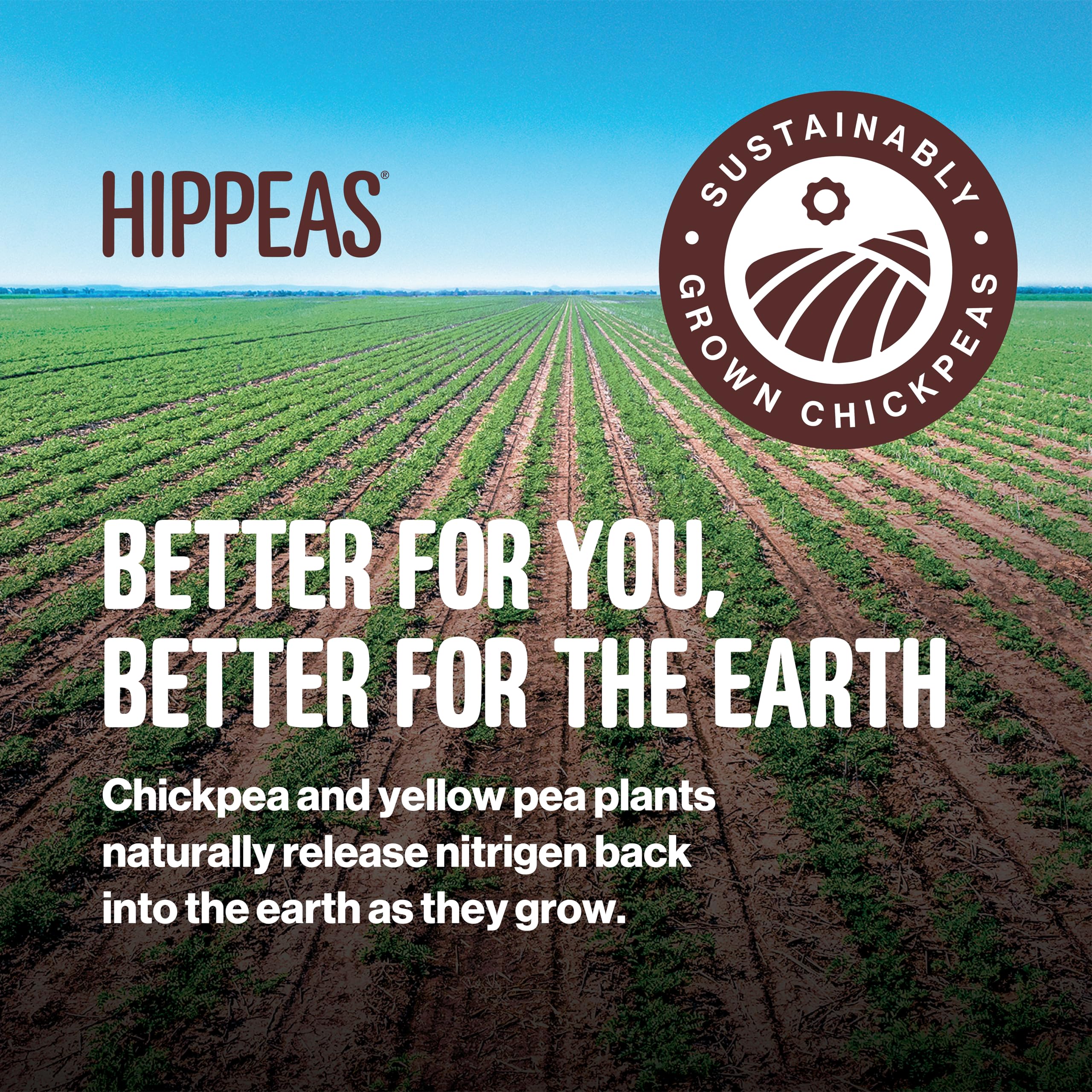 Best Price Hippeas Chickpea Puffs Variety Pack