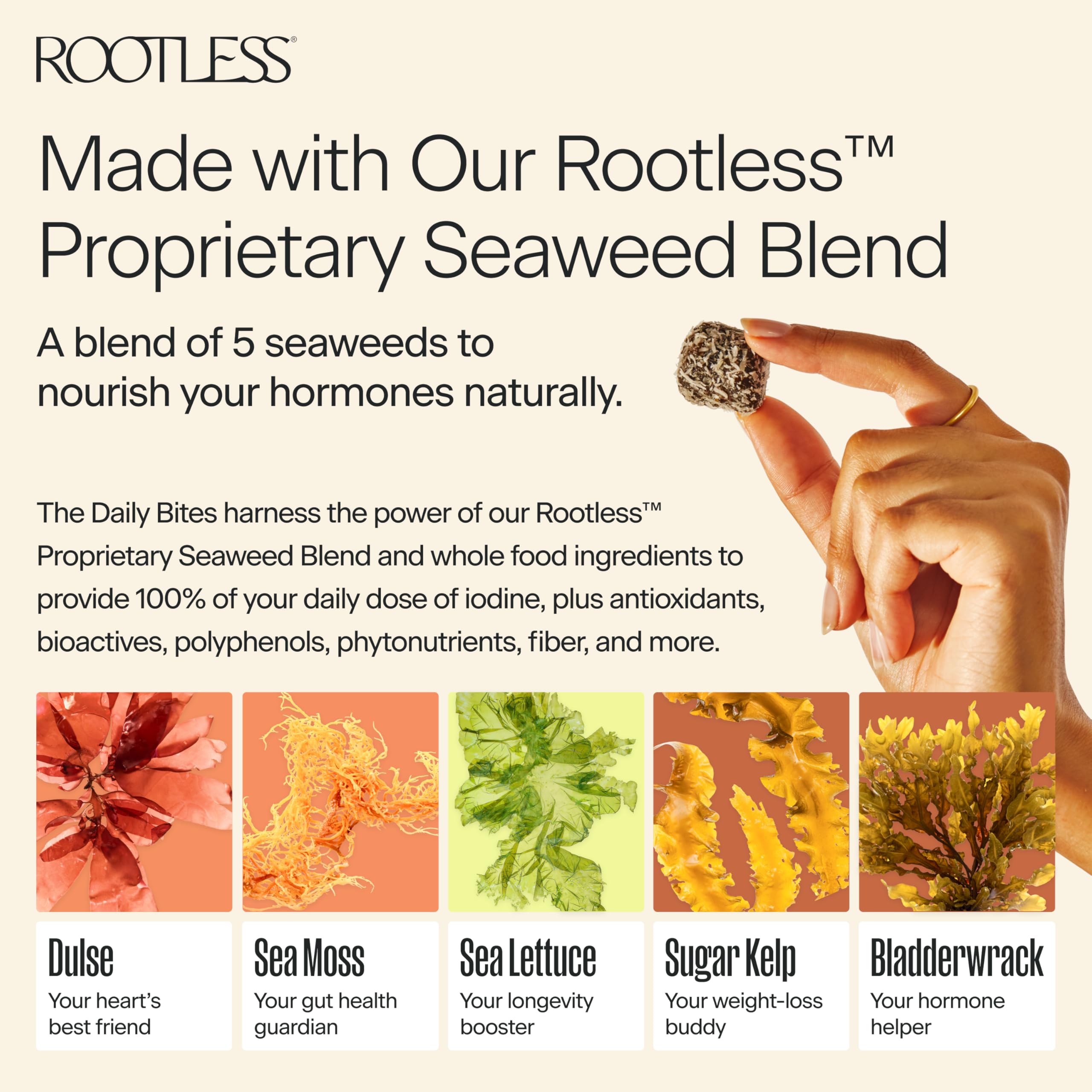 Free Trial Rootless Coconut Chai