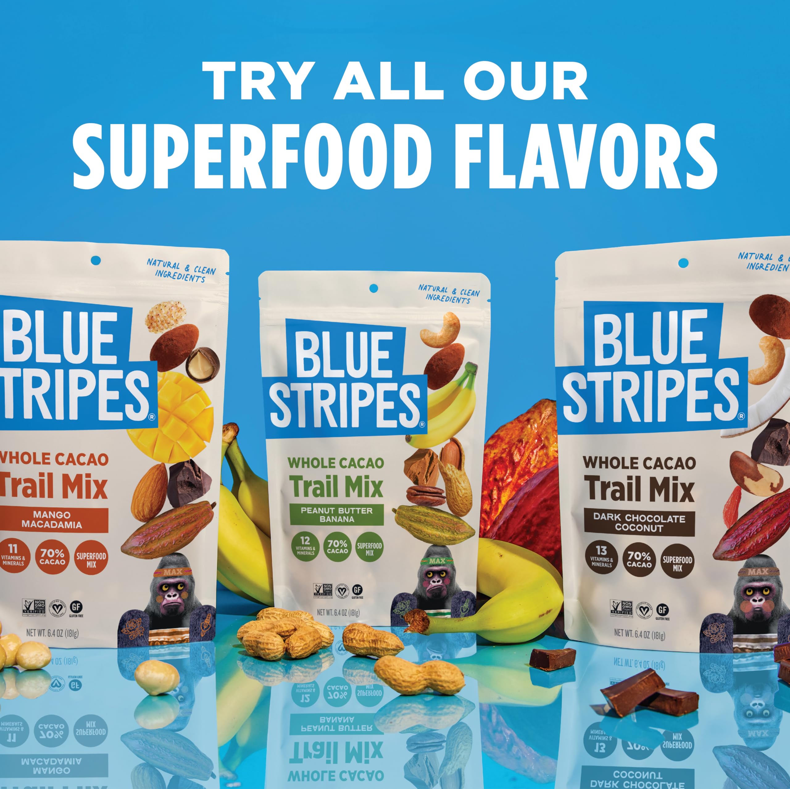 Top Rated Blue Stripes Trail Mix - Dark Chocolate Coconut, Mixed Nuts, Cashews, 70% Cacao, Unrefined Sugar, Non-GMO, Gluten-Free, Vegan, Healthy Snacks for Adults, 2 Pack (8