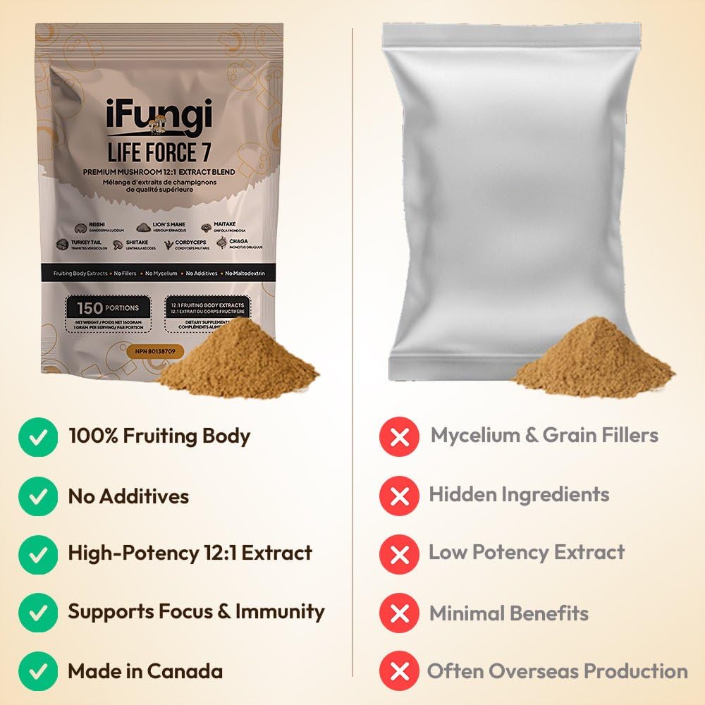 Best iFungi Life Force 7 Mushroom Blend
