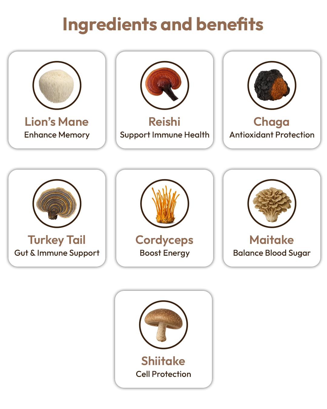 Best iFungi Life Force 7 Mushroom Blend