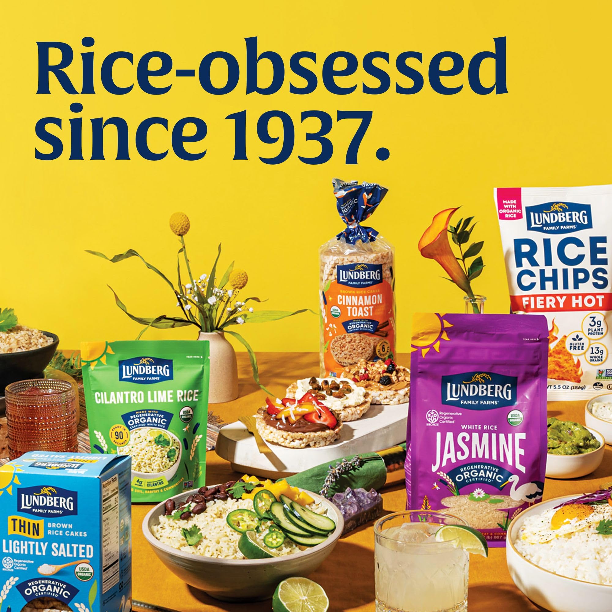 Best Price Lundberg Organic Cinnamon Toast Whole Grain Rice Cakes