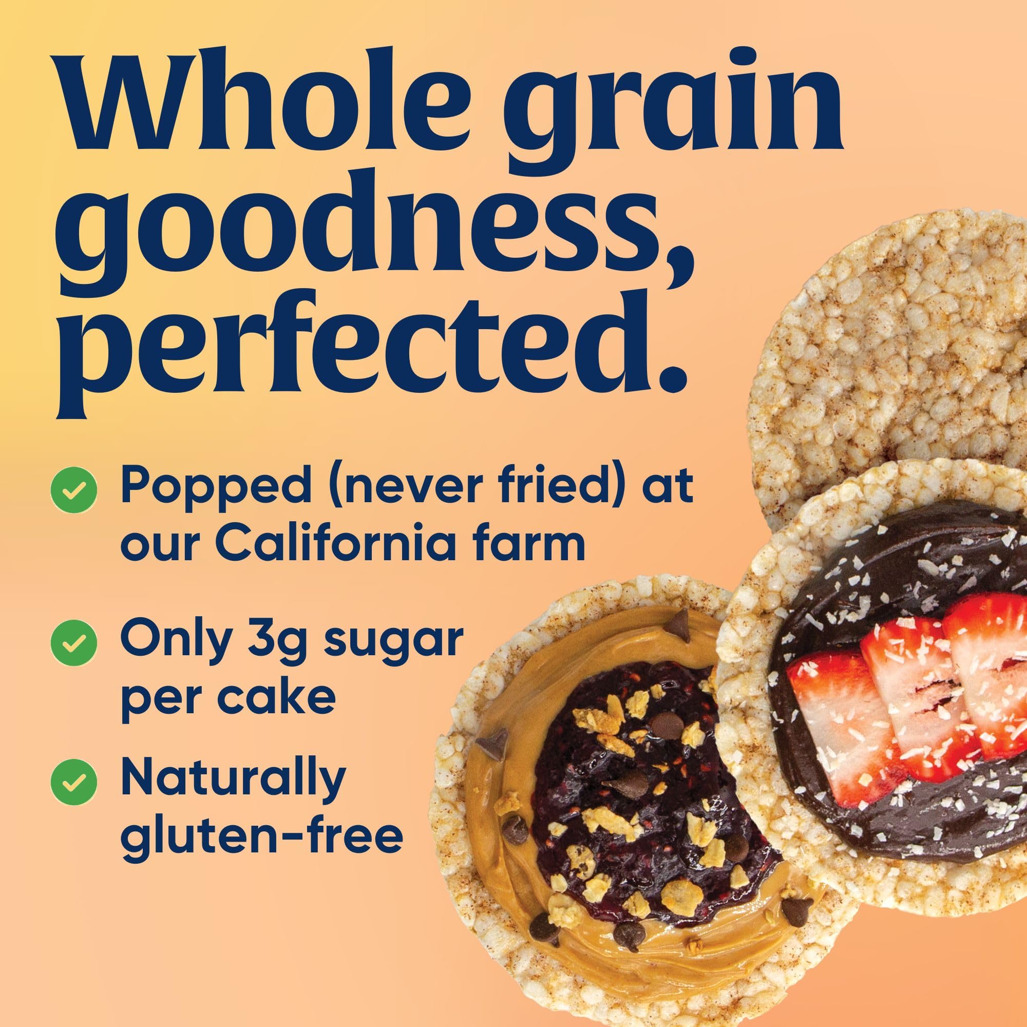 Best Price Lundberg Organic Cinnamon Toast Whole Grain Rice Cakes