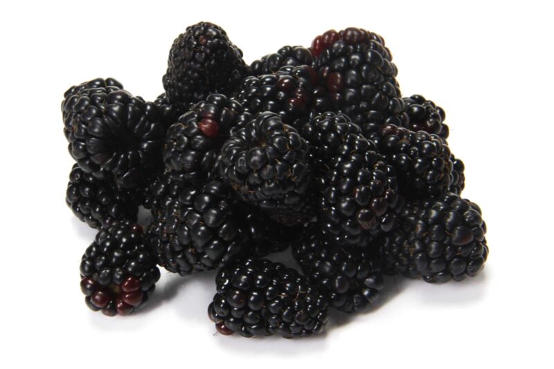 Discount 6 oz Organic Blackberries