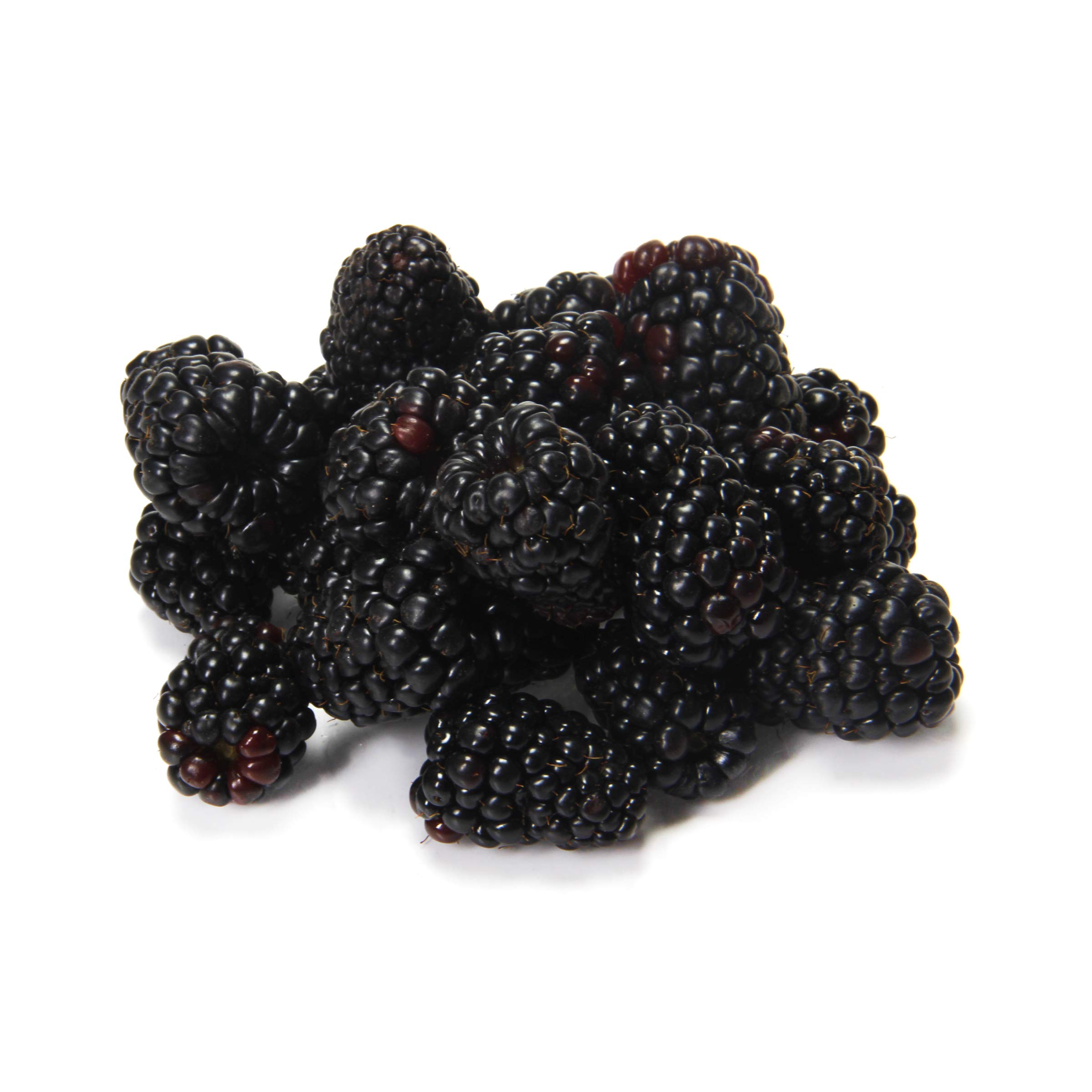 Discount 6 oz Organic Blackberries