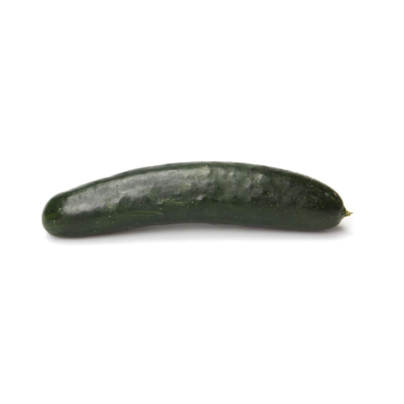 Cheap Cucumis Sativus