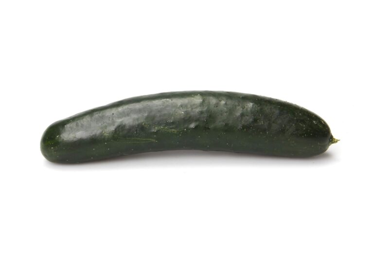 Cheap Cucumis Sativus
