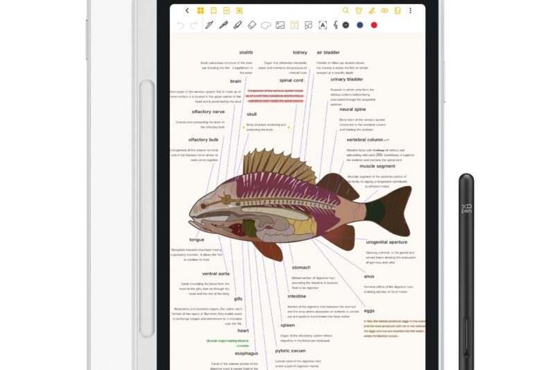“Top Rated XPPen 3-in-1 Color Digital Notebook”