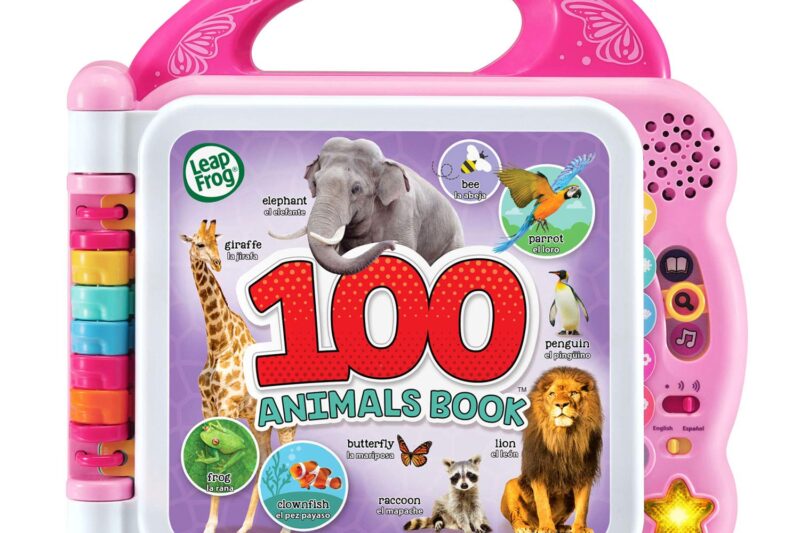 “Top Rated LeapFrog Learning Friends: 100 Words Book”